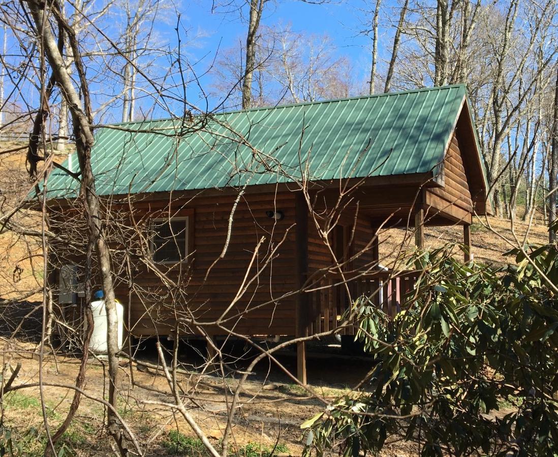 Little River Cabin Sparta Exterior foto